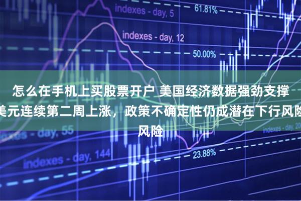 怎么在手机上买股票开户 美国经济数据强劲支撑美元连续第二周上涨，政策不确定性仍成潜在下行风险