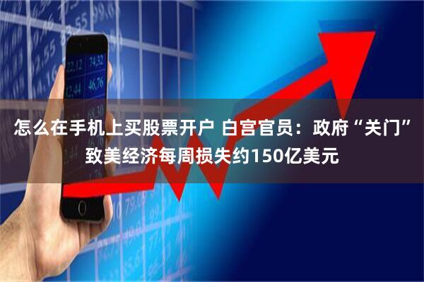 怎么在手机上买股票开户 白宫官员：政府“关门”致美经济每周损失约150亿美元