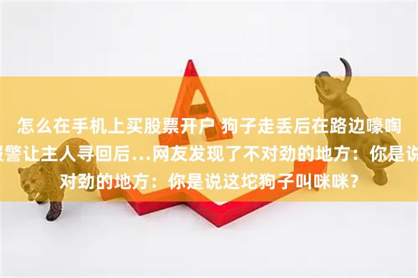 怎么在手机上买股票开户 狗子走丢后在路边嚎啕大哭，热心网友报警让主人寻回后…网友发现了不对劲的地方：你是说这坨狗子叫咪咪？