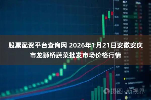 股票配资平台查询网 2026年1月21日安徽安庆市龙狮桥蔬菜批发市场价格行情